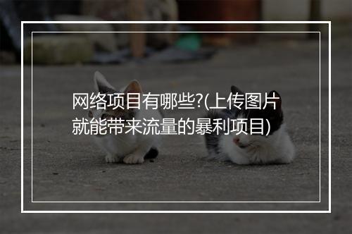 网络项目有哪些?(上传图片就能带来流量的暴利项目)