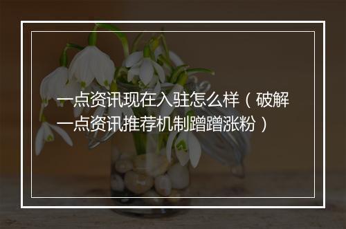 一点资讯现在入驻怎么样（破解一点资讯推荐机制蹭蹭涨粉）
