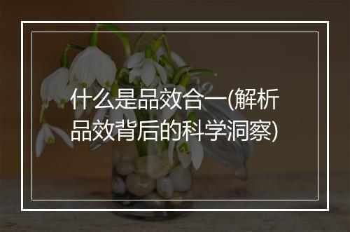 什么是品效合一(解析品效背后的科学洞察)