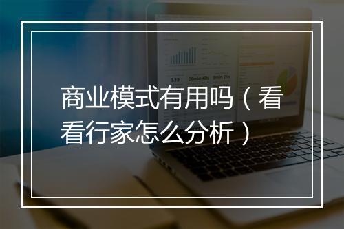 商业模式有用吗（看看行家怎么分析）