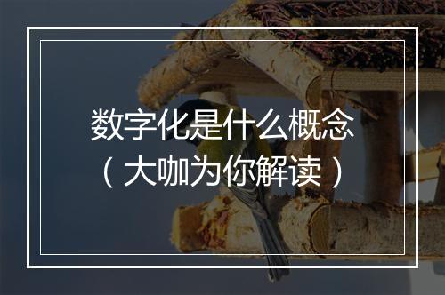数字化是什么概念（大咖为你解读）