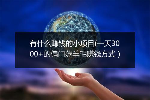 有什么赚钱的小项目(一天3000+的偏门薅羊毛赚钱方式）