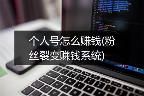 个人号怎么赚钱(粉丝裂变赚钱系统)