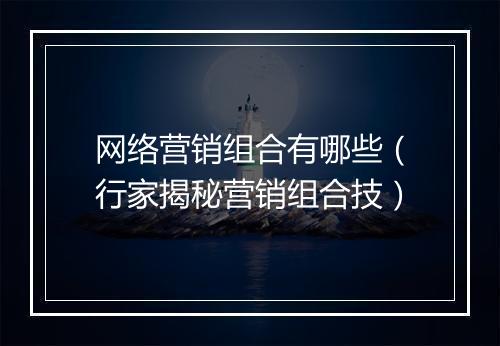 网络营销组合有哪些（行家揭秘营销组合技）