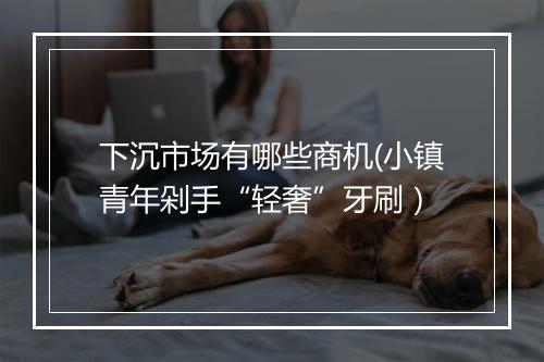 下沉市场有哪些商机(小镇青年剁手“轻奢”牙刷）