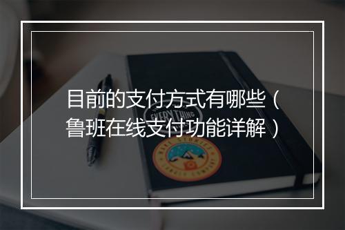 目前的支付方式有哪些（鲁班在线支付功能详解）