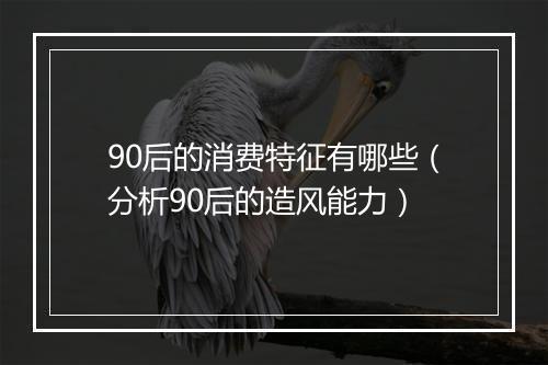 90后的消费特征有哪些（分析90后的造风能力）