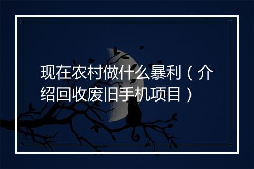 现在农村做什么暴利（介绍回收废旧手机项目）