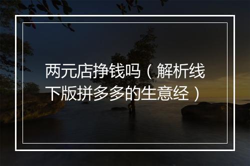 两元店挣钱吗（解析线下版拼多多的生意经）