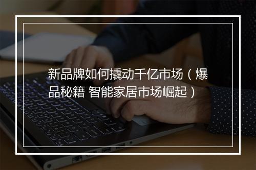 新品牌如何撬动千亿市场（爆品秘籍 智能家居市场崛起）