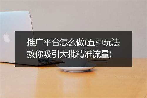 推广平台怎么做(五种玩法教你吸引大批精准流量)