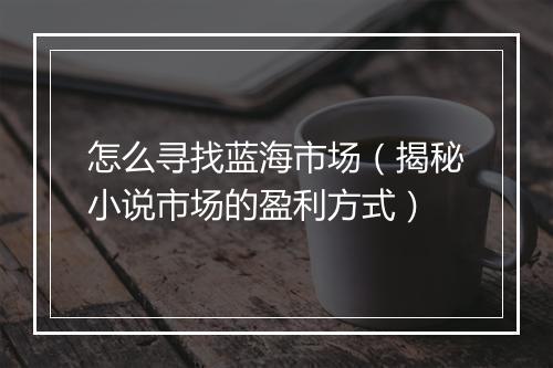 怎么寻找蓝海市场（揭秘小说市场的盈利方式）