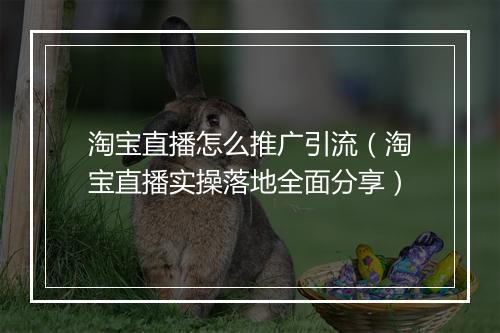 淘宝直播怎么推广引流（淘宝直播实操落地全面分享）