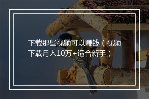 下载那些视频可以赚钱（视频下载月入10万+适合新手）