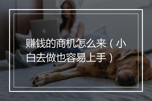赚钱的商机怎么来（小白去做也容易上手）