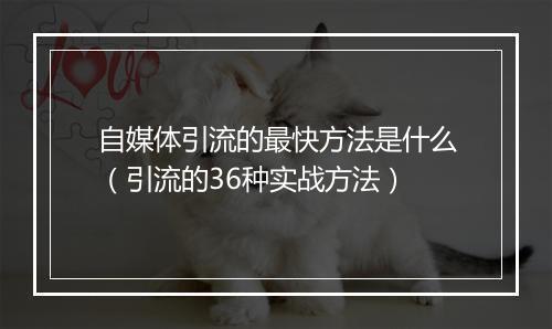 自媒体引流的最快方法是什么（引流的36种实战方法）
