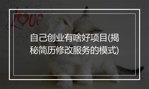 自己创业有啥好项目(揭秘简历修改服务的模式)