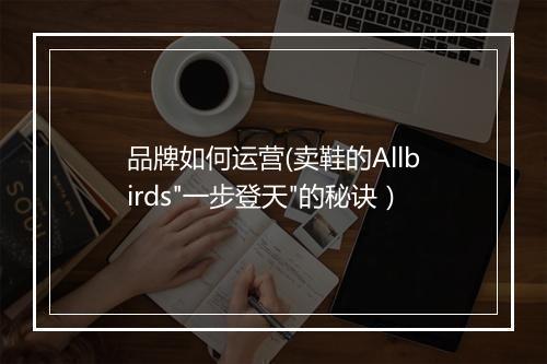 品牌如何运营(卖鞋的Allbirds