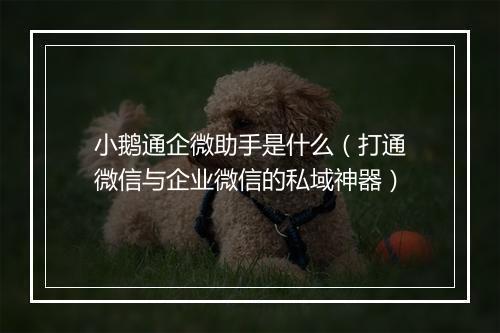 小鹅通企微助手是什么（打通微信与企业微信的私域神器）