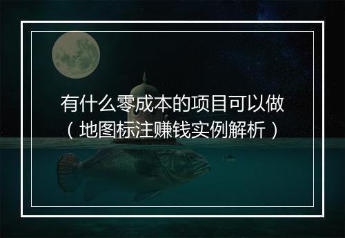 有什么零成本的项目可以做（地图标注赚钱实例解析）