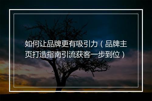 如何让品牌更有吸引力（品牌主页打造指南引流获客一步到位）