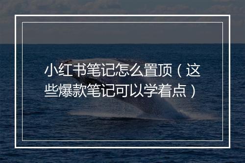 小红书笔记怎么置顶（这些爆款笔记可以学着点）