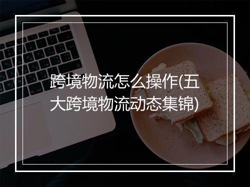 跨境物流怎么操作(五大跨境物流动态集锦)