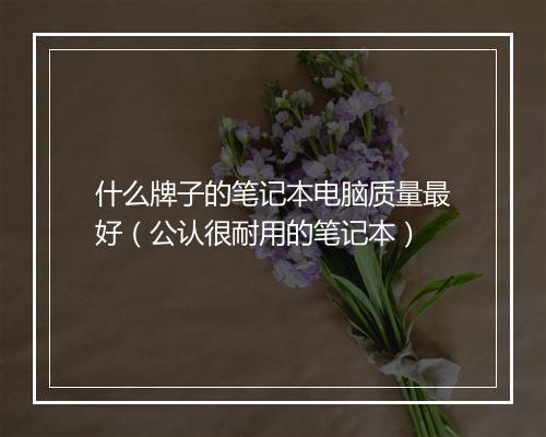 什么牌子的笔记本电脑质量最好（公认很耐用的笔记本）