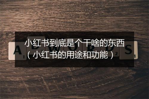 小红书到底是个干啥的东西（小红书的用途和功能）