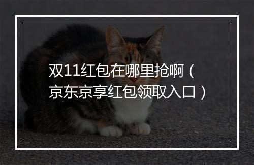 双11红包在哪里抢啊（京东京享红包领取入口）