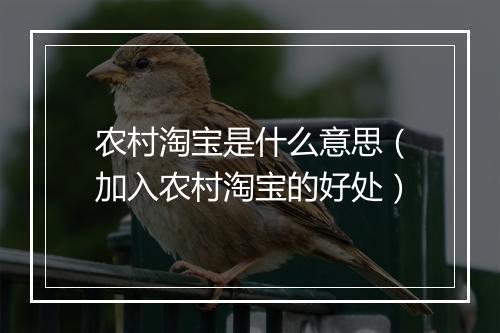 农村淘宝是什么意思（加入农村淘宝的好处）