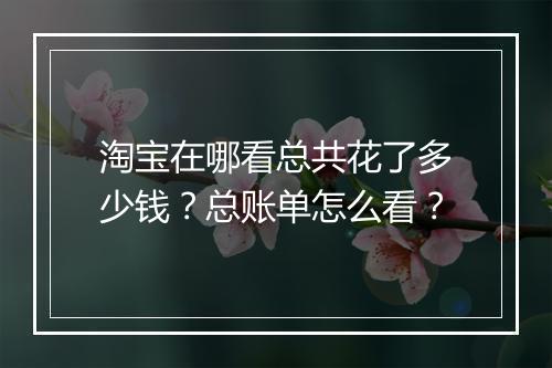 淘宝在哪看总共花了多少钱？总账单怎么看？