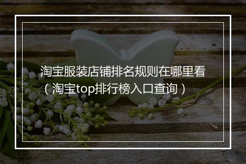 淘宝服装店铺排名规则在哪里看（淘宝top排行榜入口查询）