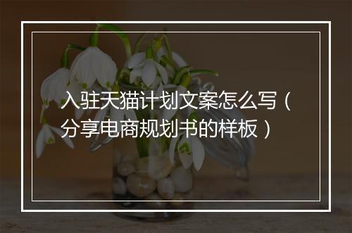 入驻天猫计划文案怎么写（分享电商规划书的样板）