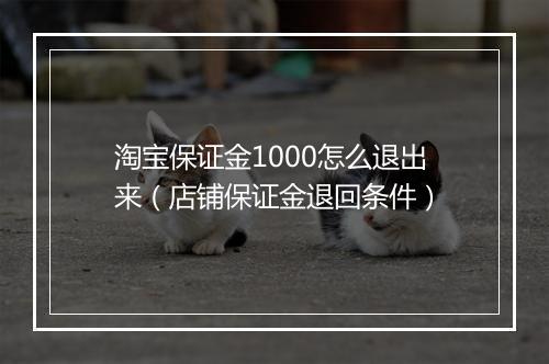 淘宝保证金1000怎么退出来（店铺保证金退回条件）