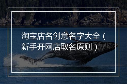 淘宝店名创意名字大全（新手开网店取名原则）