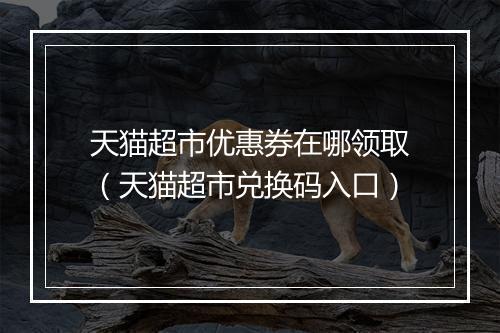 天猫超市优惠券在哪领取（天猫超市兑换码入口）