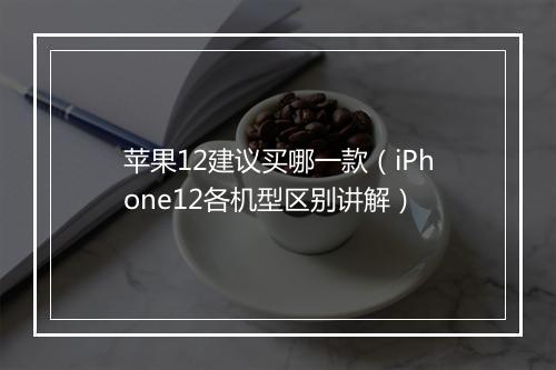 苹果12建议买哪一款（iPhone12各机型区别讲解）
