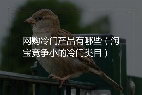 网购冷门产品有哪些（淘宝竞争小的冷门类目）