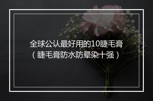 全球公认最好用的10睫毛膏（睫毛膏防水防晕染十强）