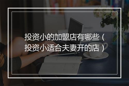 投资小的加盟店有哪些（投资小适合夫妻开的店）