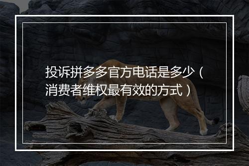 投诉拼多多官方电话是多少（消费者维权最有效的方式）