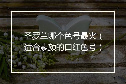 圣罗兰哪个色号最火（适合素颜的口红色号）