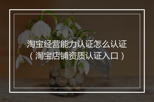 淘宝经营能力认证怎么认证（淘宝店铺资质认证入口）