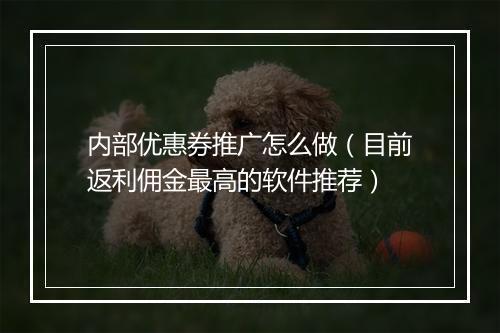 内部优惠券推广怎么做（目前返利佣金最高的软件推荐）