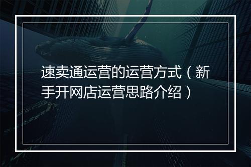 速卖通运营的运营方式（新手开网店运营思路介绍）
