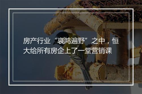房产行业“哀鸿遍野”之中，恒大给所有房企上了一堂营销课