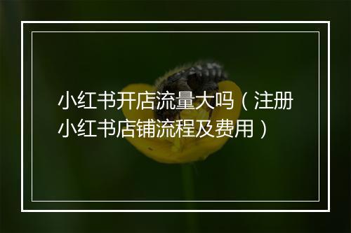 小红书开店流量大吗（注册小红书店铺流程及费用）