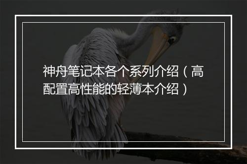 神舟笔记本各个系列介绍（高配置高性能的轻薄本介绍）