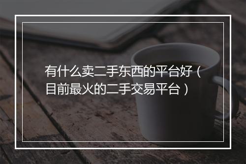 有什么卖二手东西的平台好（目前最火的二手交易平台）